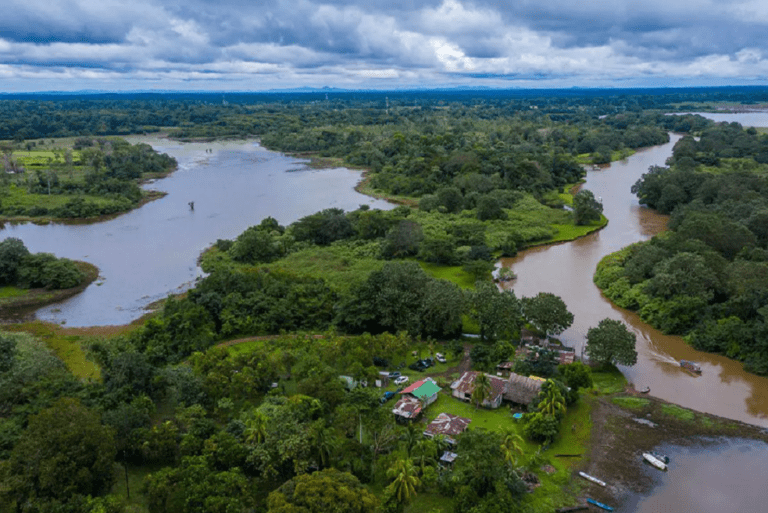 caño negro 8 pereira m