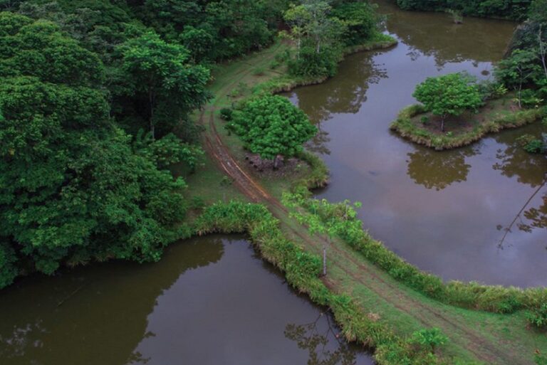 refugio-lapa-verde-1 - copia