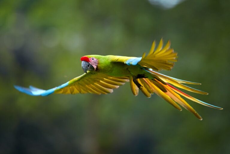 shutterstock_786440446-1024x683 - copia