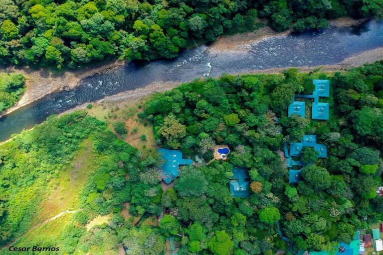 55865174_10156167385782286_3129186856877424640_n